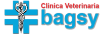 Clinica veterinaria Bagsy – Gioia del Colle